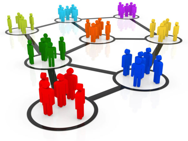 Niche-Networks-AMB-Image