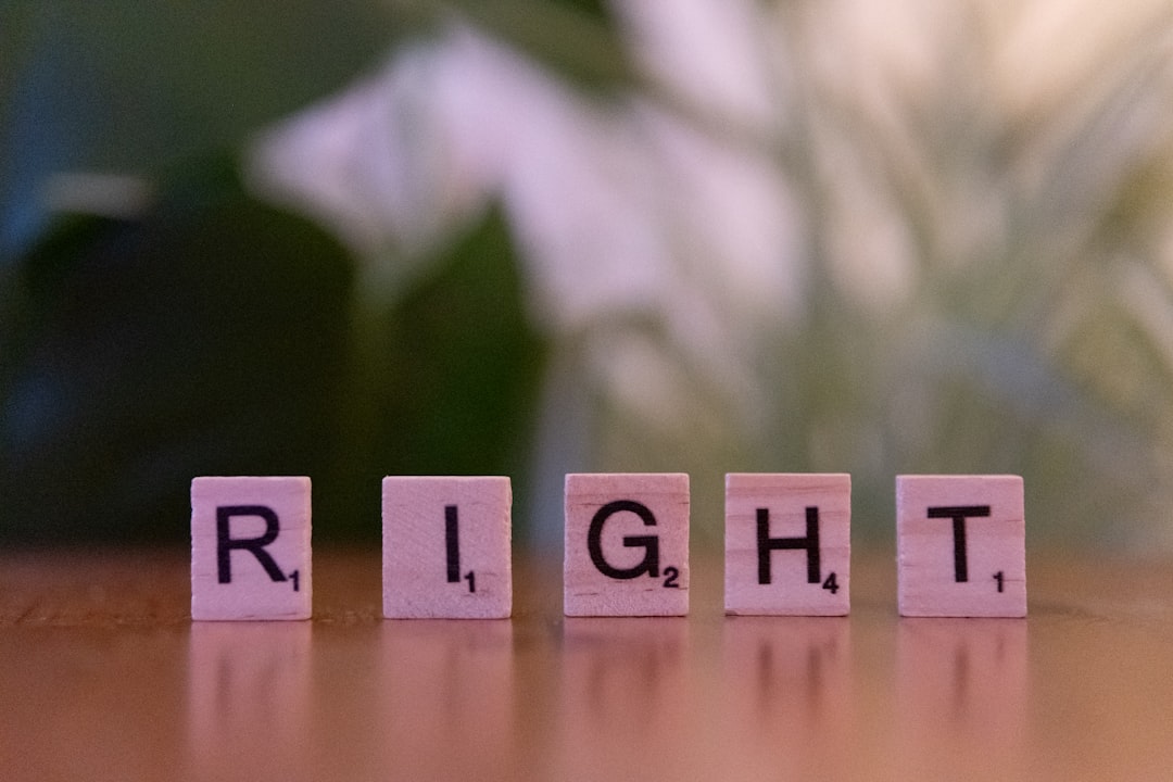 Understanding Copyright: Covers, Samples, and the Costs of Clearance