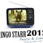 Ringo Redesigns Site to Save Rhinos