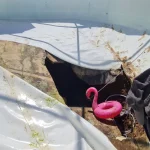 Giant Sinkhole at Pool Kills Man and Injures one Other
