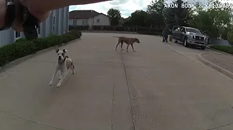 Loveland Pays Historic $675K Settlement Over Dog Shooting Loveland Pays Historic $675K Settlement Over Dog Shooting